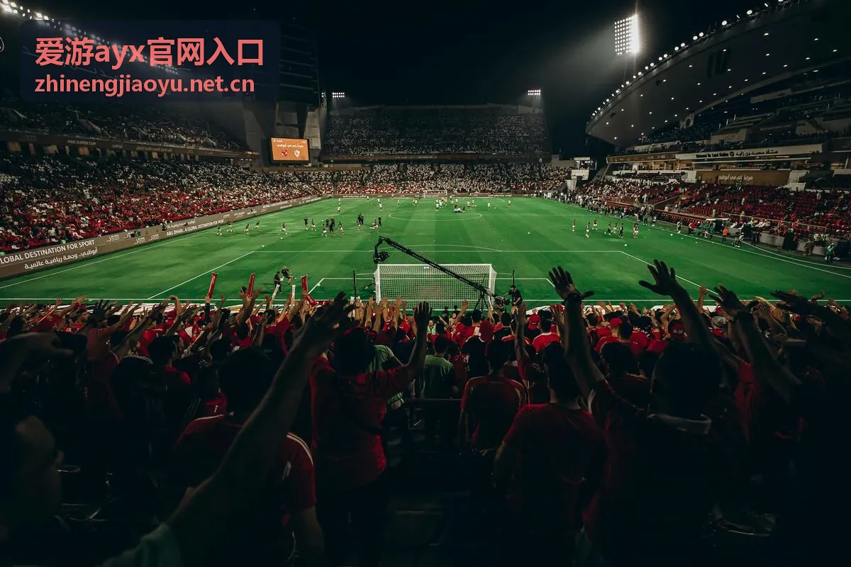 爱游ayx官网入口 入口指南封面