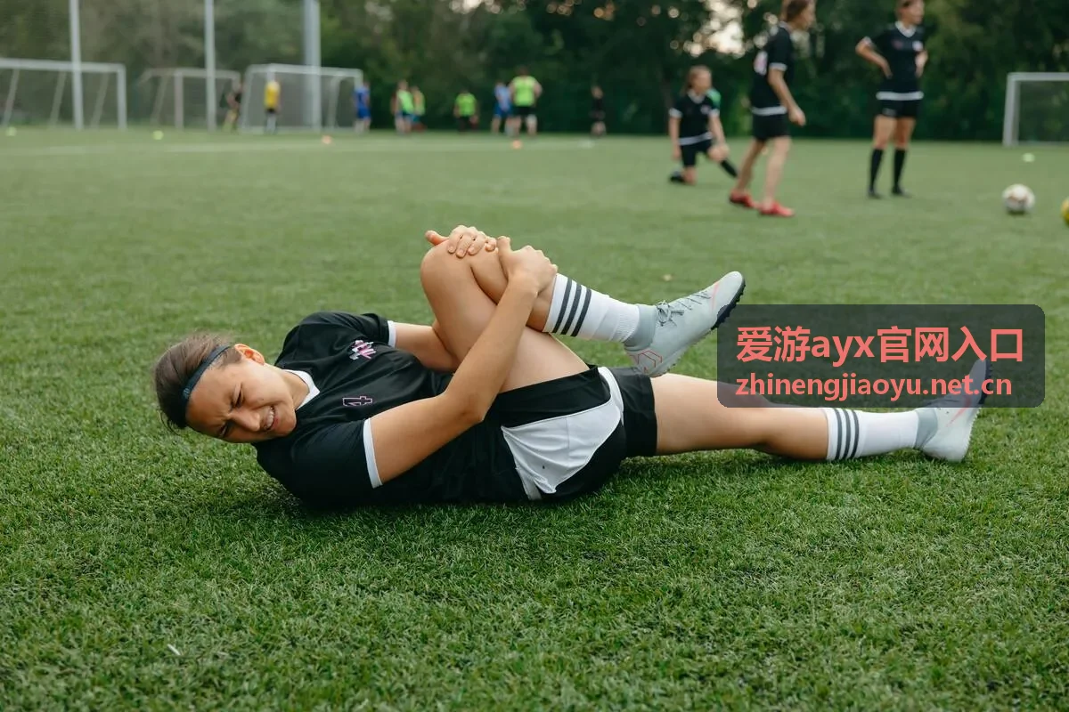 爱游ayx官网入口 安全问答封面
